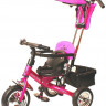 Велосипед трехколесный Lexus Trike Next 2013 малина купить в интернет магазине детских товаров "Денма"